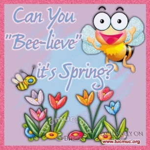 79172-Can-You-Beelieve-Its-Spring-